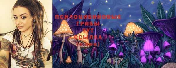 MDMA Богородск